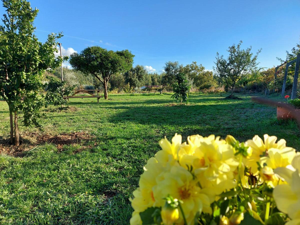 The Near The Chalet