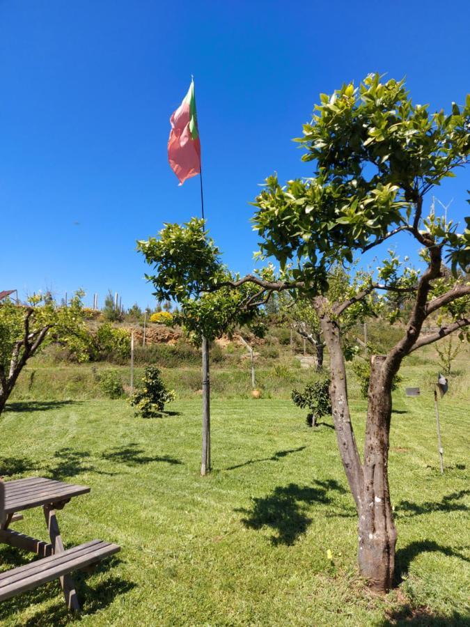 The Near The Pedrogao Grande